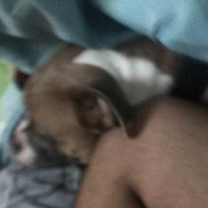 Meet your Posher, Ricky